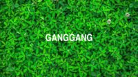 Ganggang