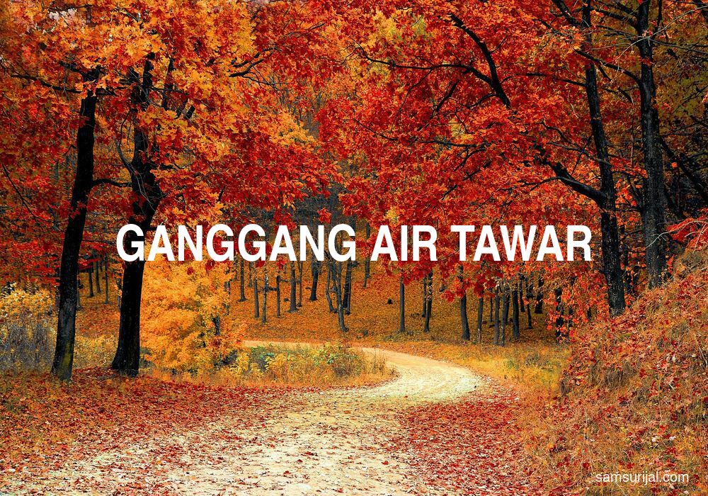 Arti Ganggang Air Tawar