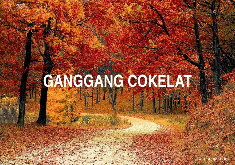 Arti Ganggang Cokelat