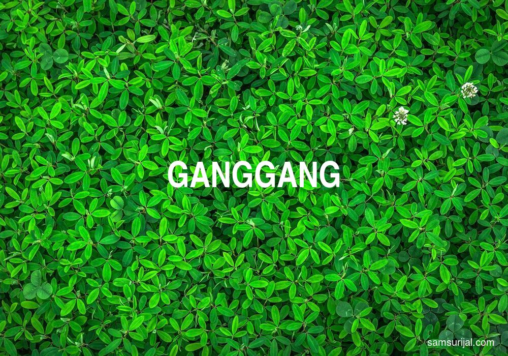 Arti Ganggang