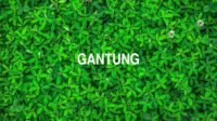 Gantung