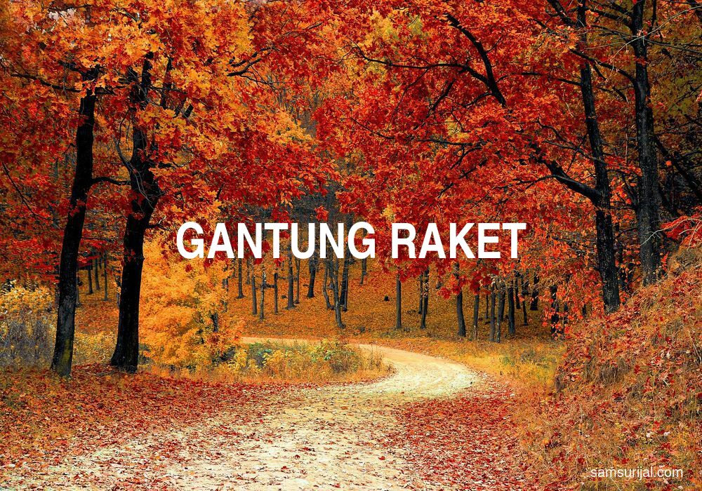 Arti Gantung Raket