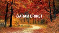 Garam Briket