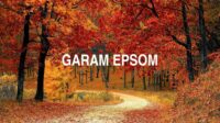 Garam Epsom