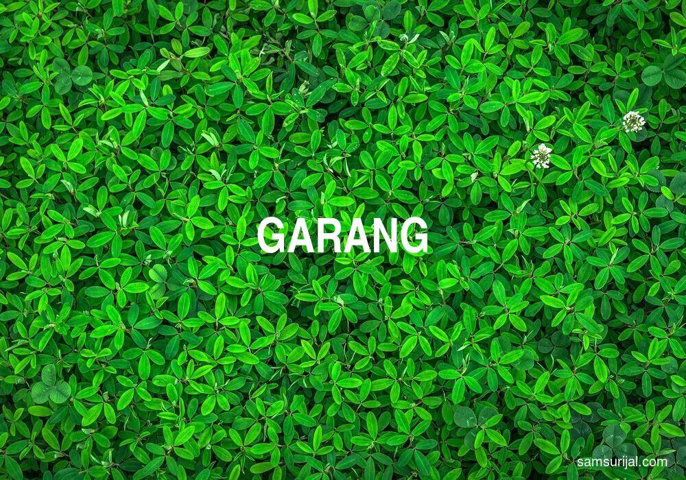 Arti Garang