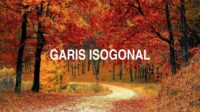 Garis Isogonal