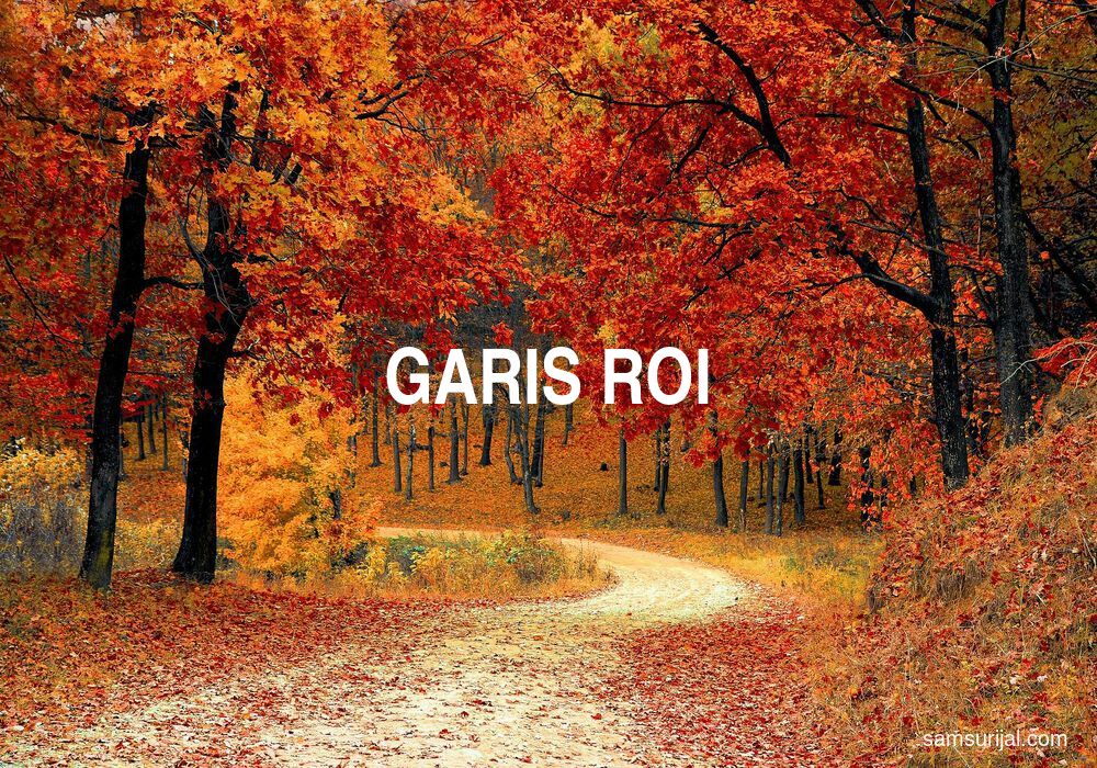 Arti Garis Roi