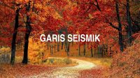 Garis Seismik