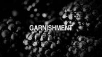 Garnishment