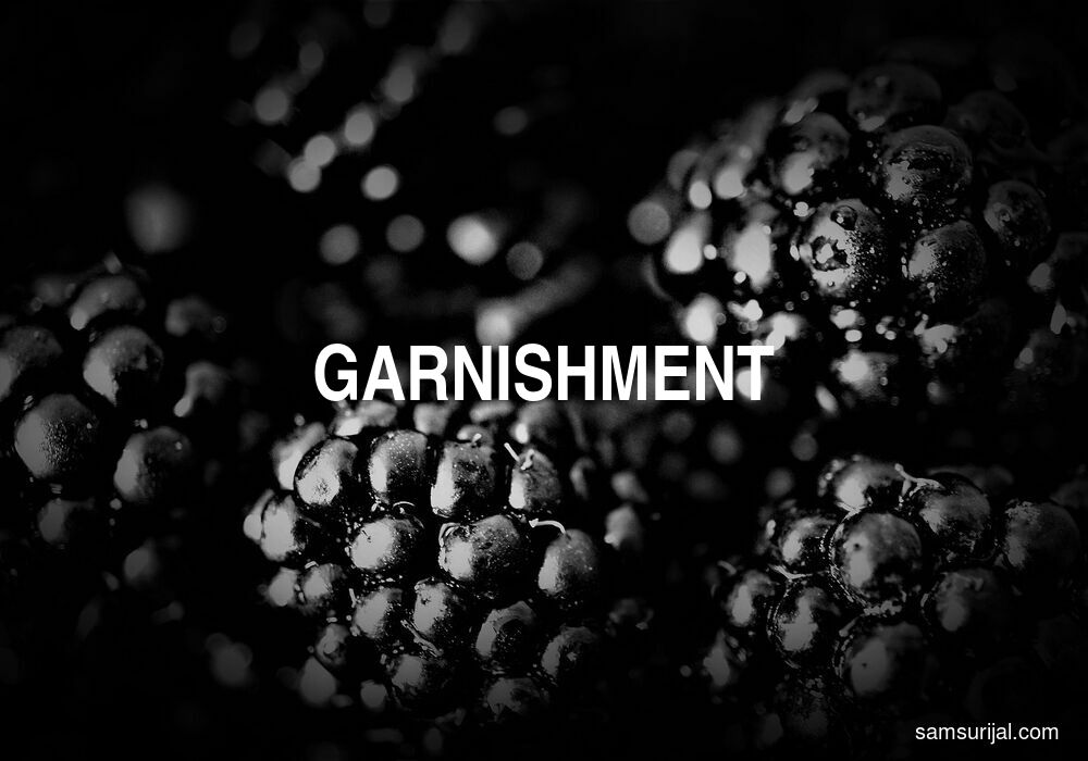 Arti Garnishment