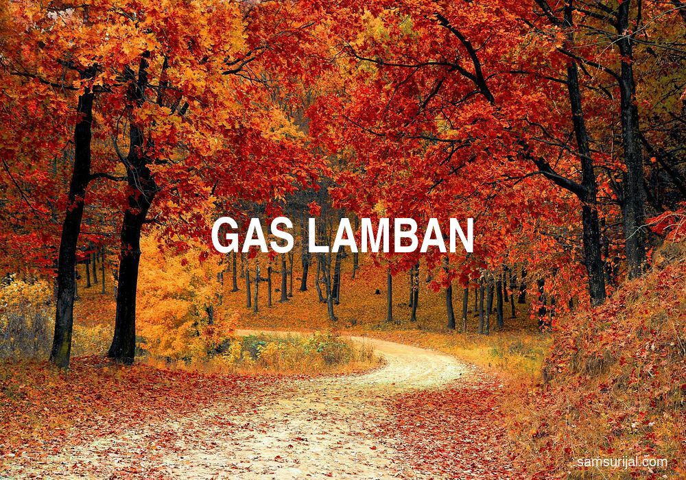 Arti Gas Lamban