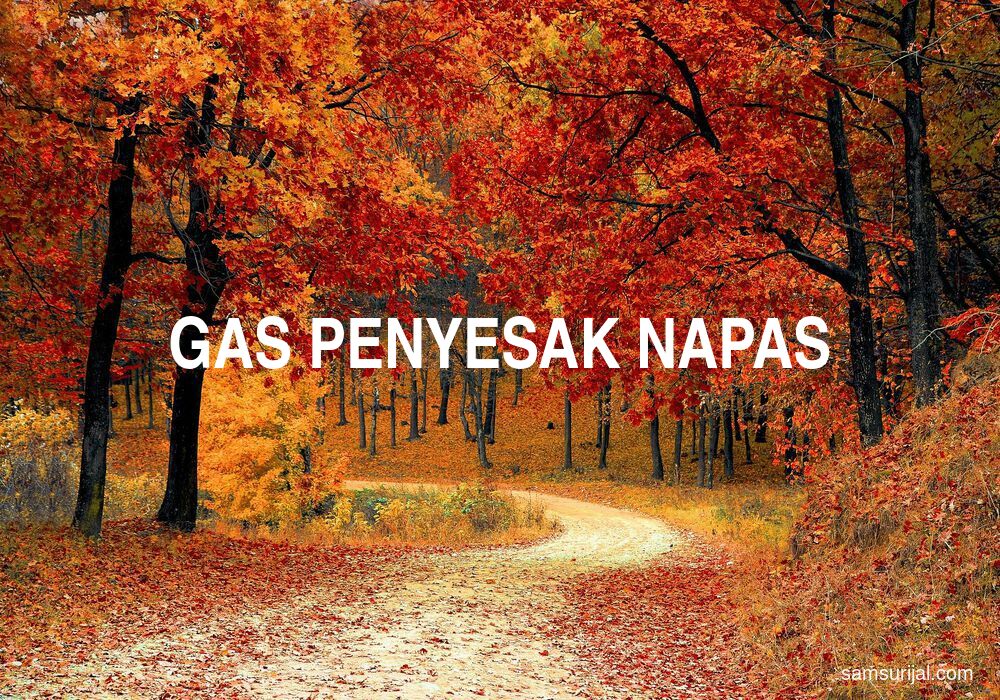 Arti Gas Penyesak Napas