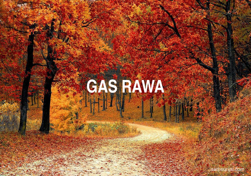 Arti Gas Rawa