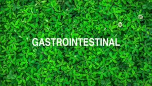 Arti Gastrointestinal