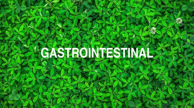 Arti Gastrointestinal