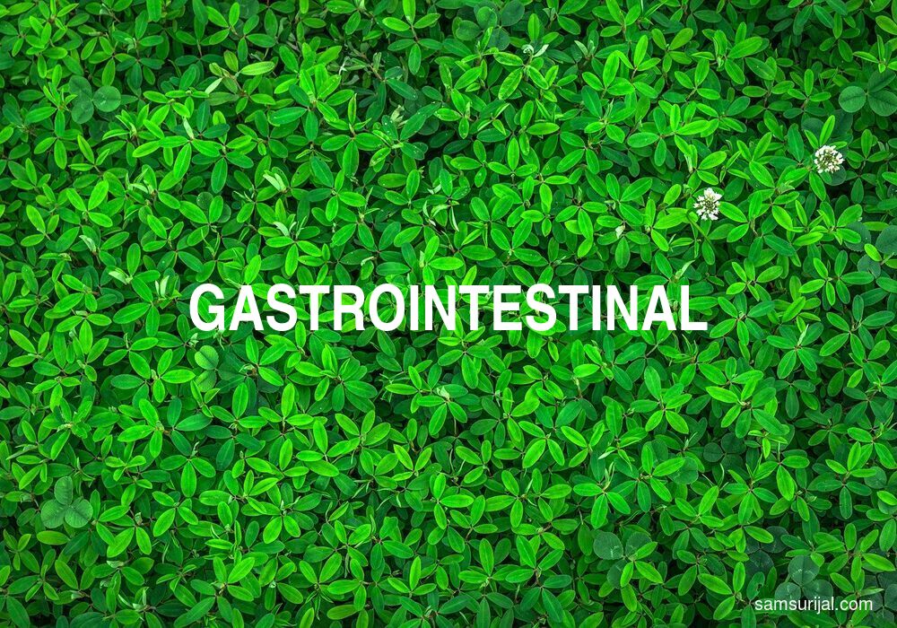 Arti Gastrointestinal