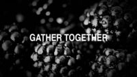 Gather Together