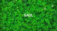 Gaul