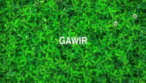 Gawir