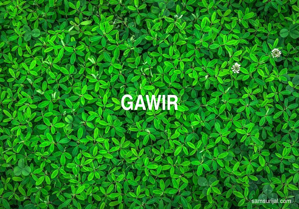 Arti Gawir