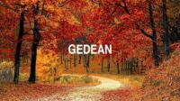 Gedean