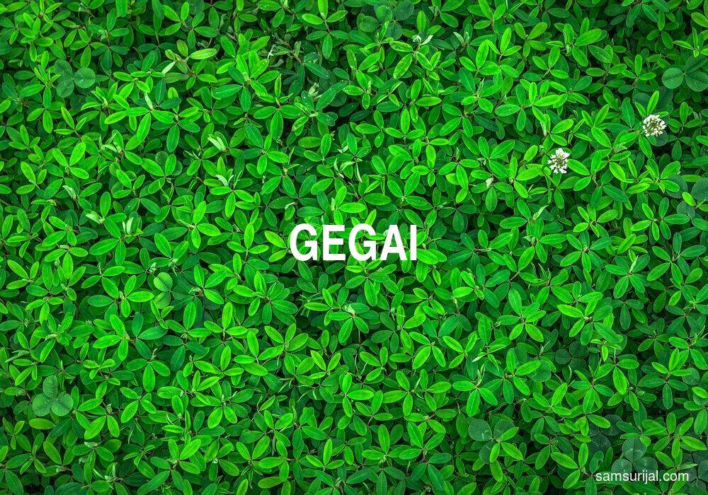 Arti Gegai
