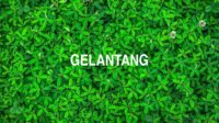 Gelantang