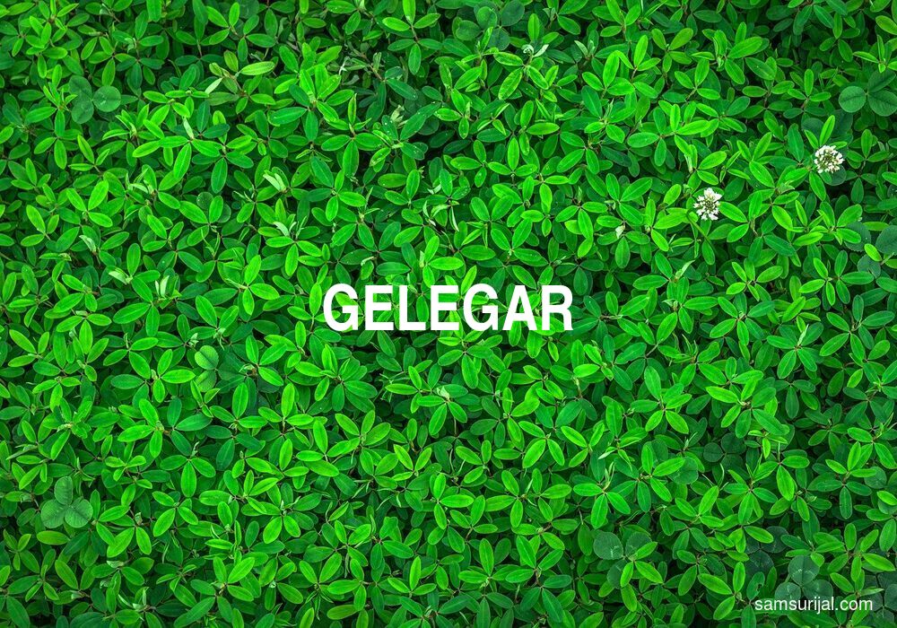 Arti Gelegar