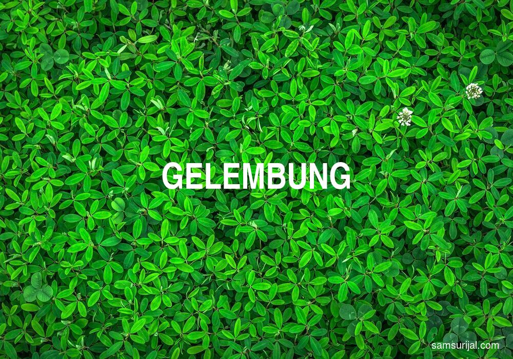 Arti Gelembung