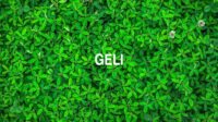 Geli