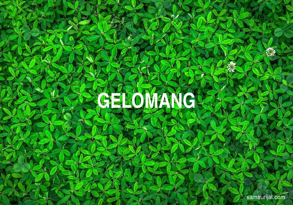 Arti Gelomang