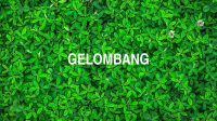 Gelombang