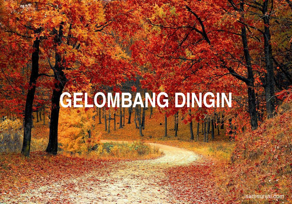 Arti Gelombang Dingin