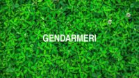 Gendarmeri