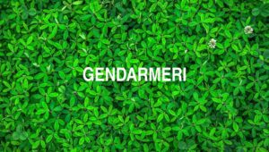Arti Gendarmeri