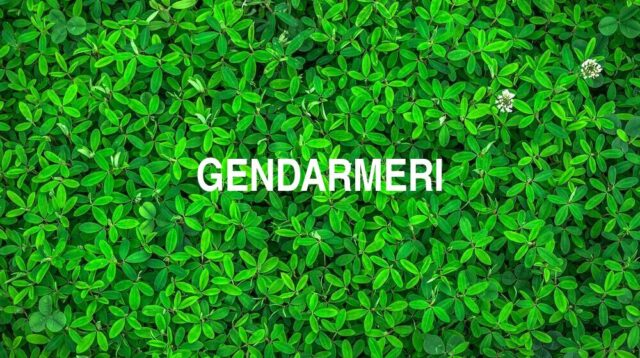 Arti Gendarmeri