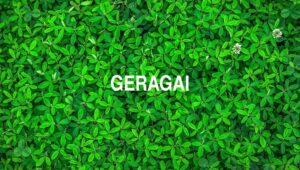 Geragai