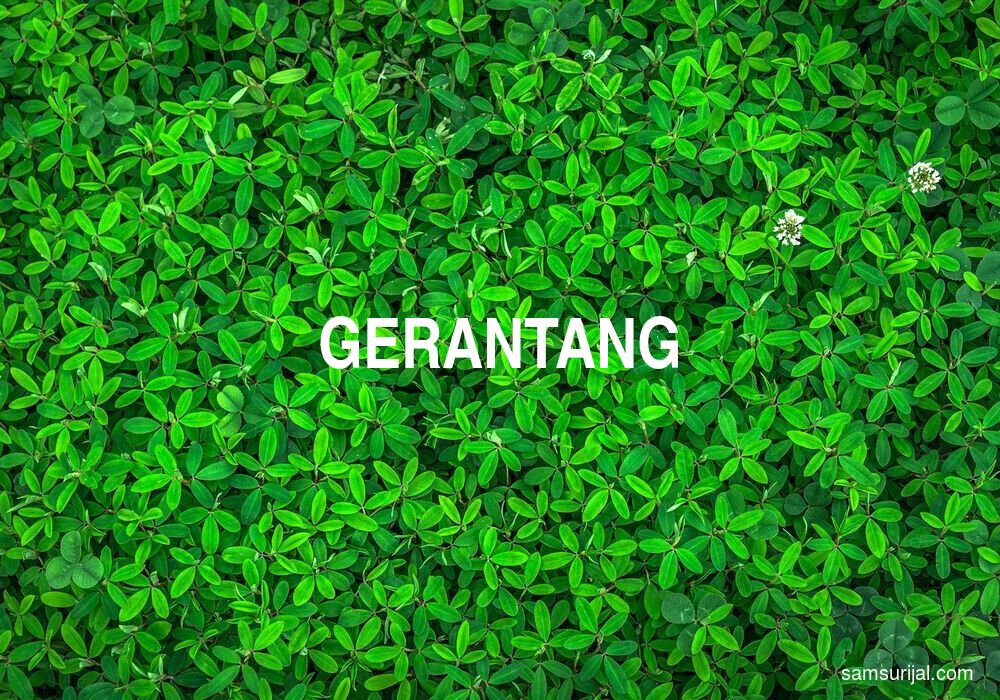 Arti Gerantang