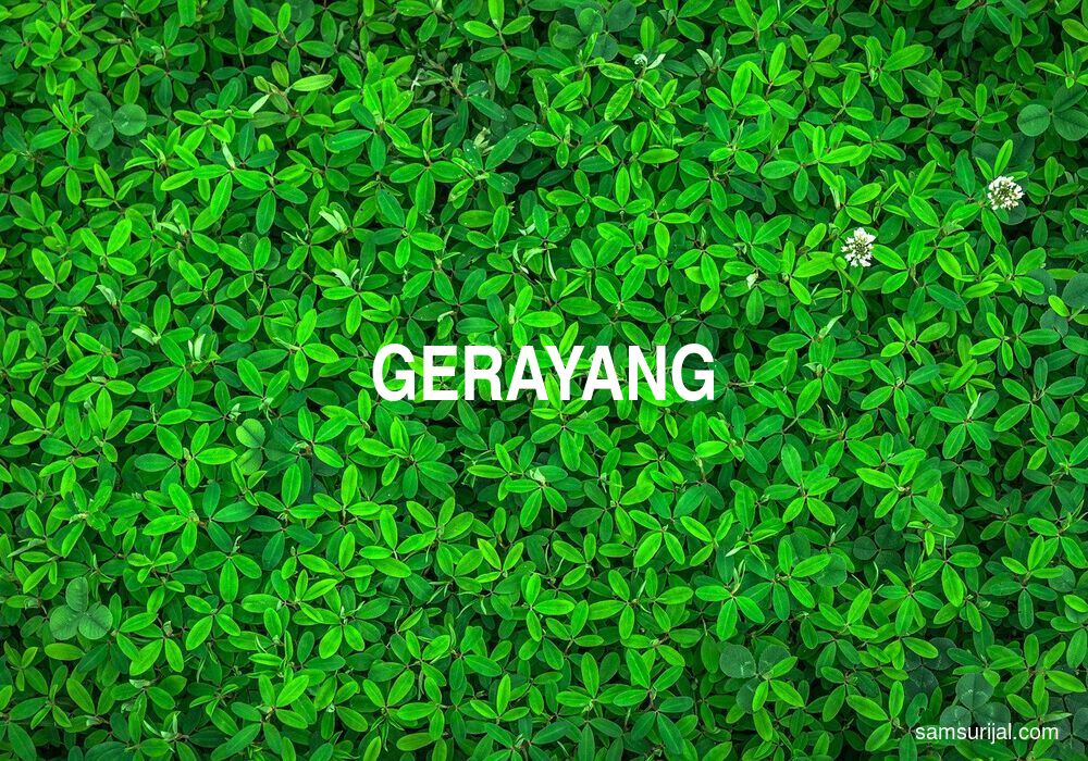 Arti Gerayang