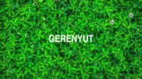 Gerenyut