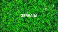 Gerhana