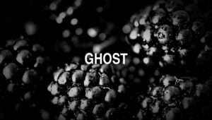 Arti Ghost