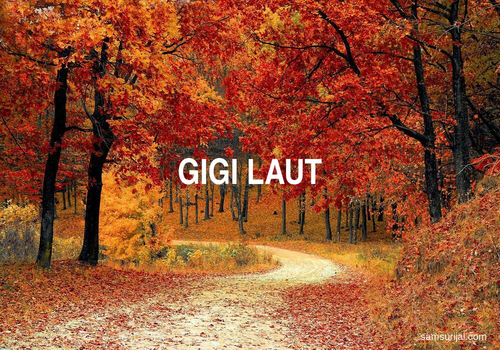 Arti Gigi Laut