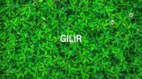 Gilir