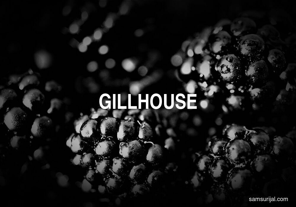 Arti Gillhouse