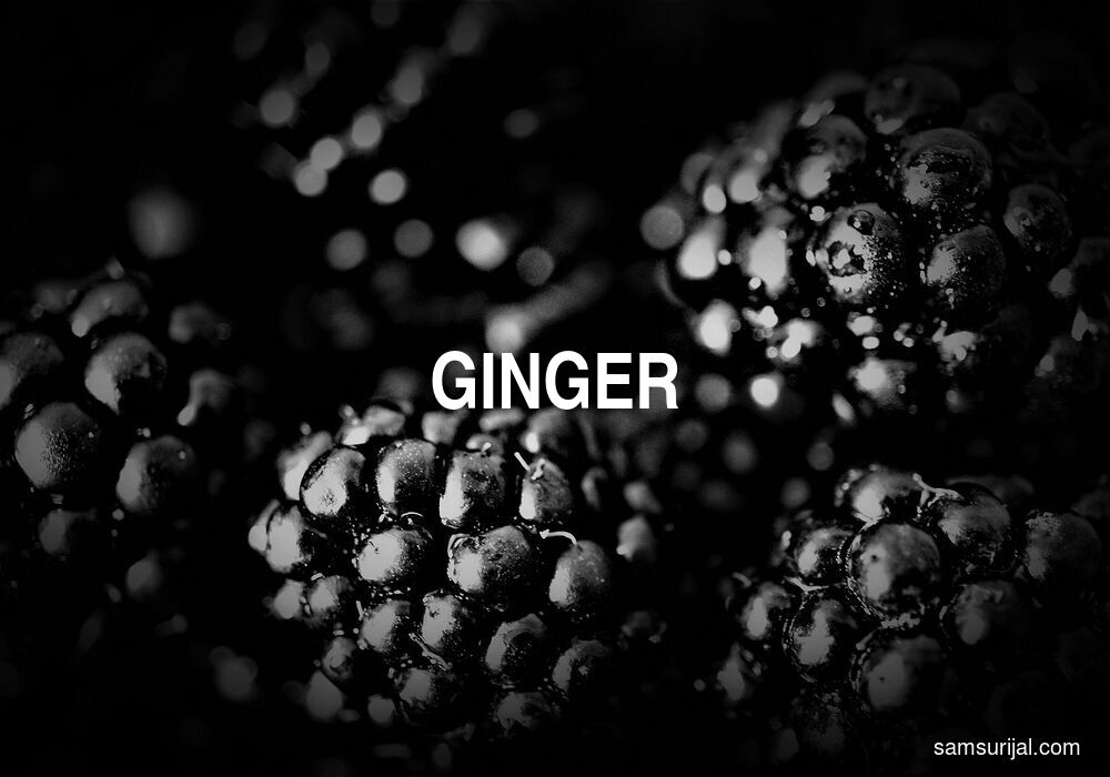 Arti Ginger