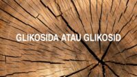 Glikosida atau Glikosid