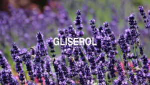 Gliserol