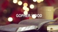 Gopher Wood