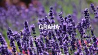 Graha